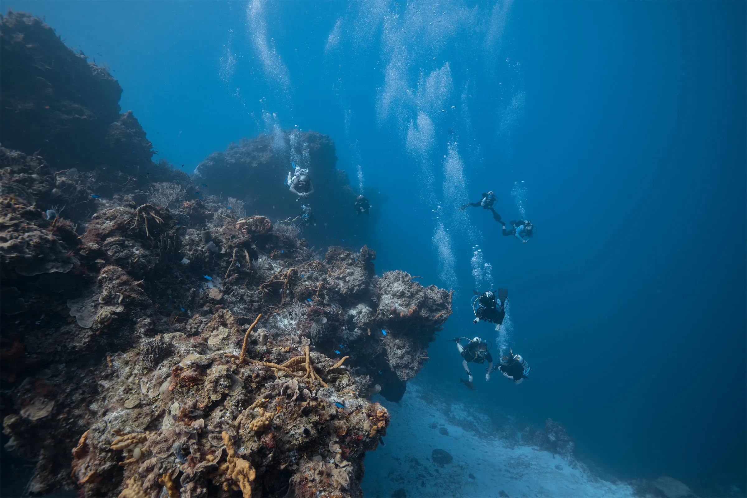 A group of scuba divers descending alongside a coral wall in Cozumel