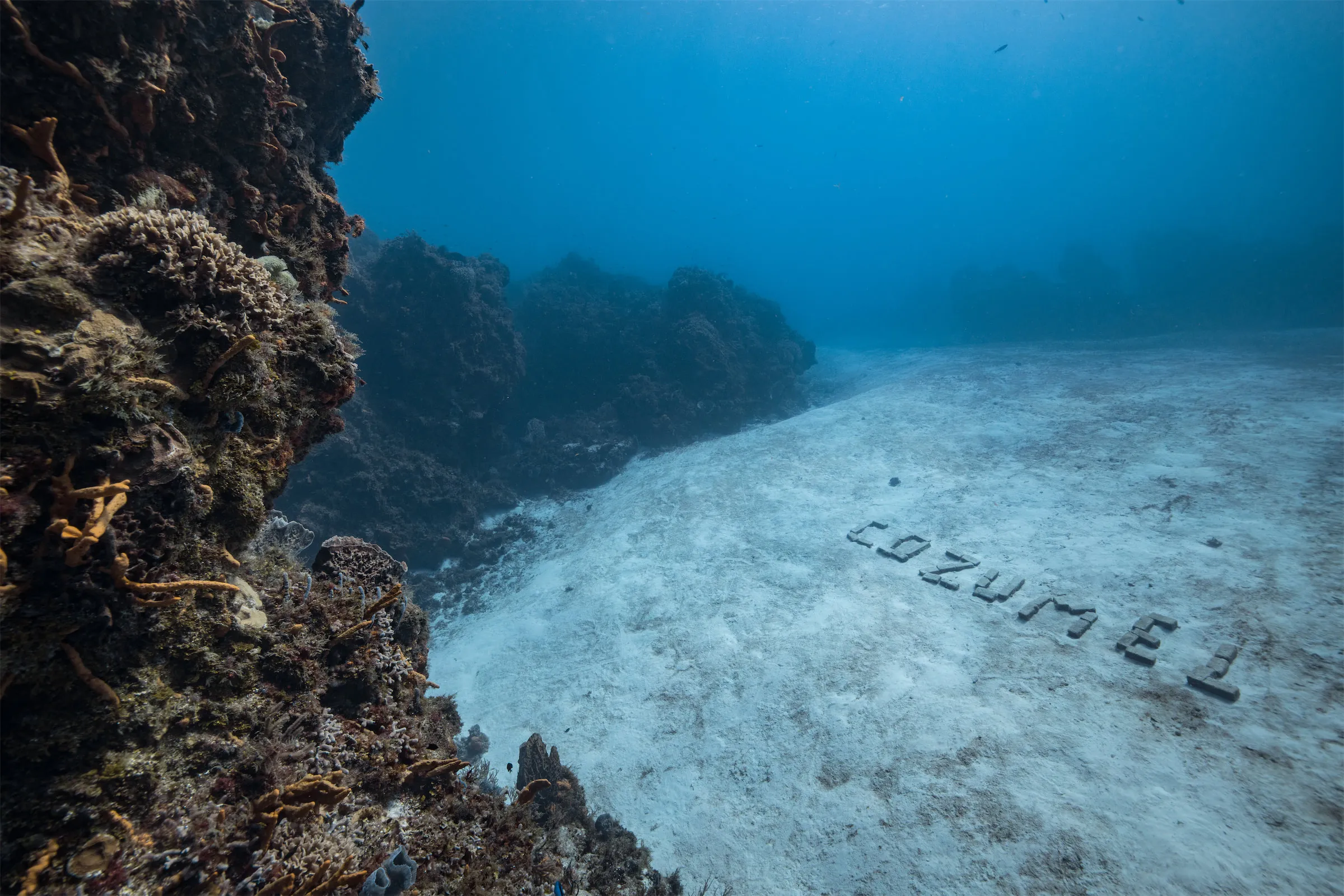 Coral tower rising from white sand at Palancar Bricks, Cozumel, with the word Cozumel spelled out in coral rubble on the seabed