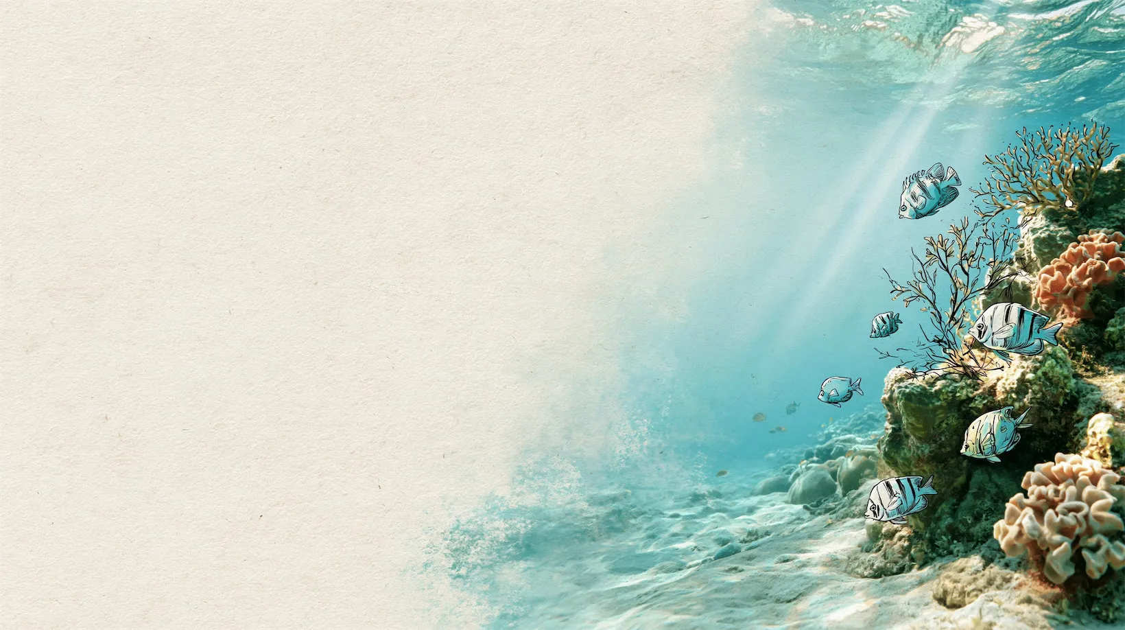 Illustration of a coral reef slope in ink and watercolour, with reef fish drifting over sand and sunlight from the surface.